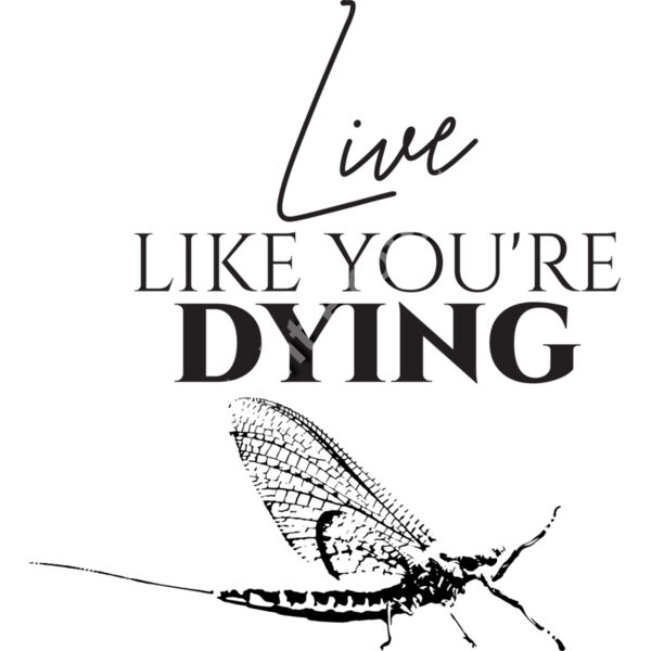 live like youre dying 01 Thumbnail