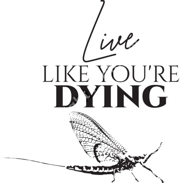 live like youre dying2 01 Thumbnail
