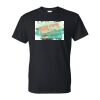 DryBlend 50/50 T-Shirt Thumbnail